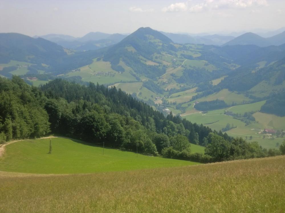 Prochenberg (308 Bildaufrufe)