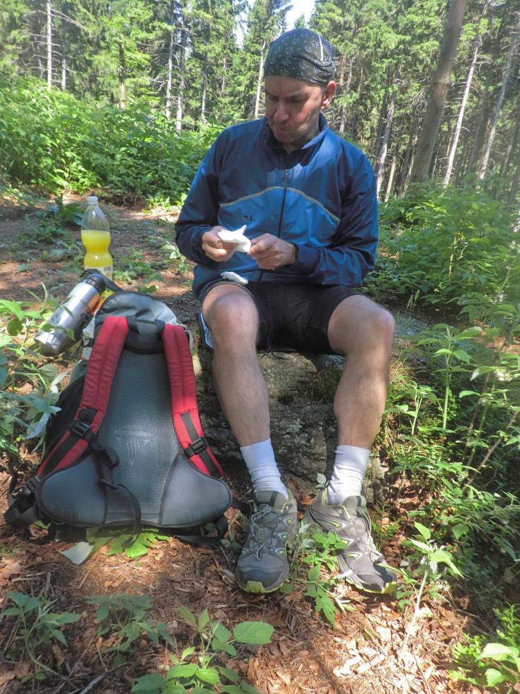 Nebelstein, Vysoka, Mandlstein (235 Bildaufrufe)