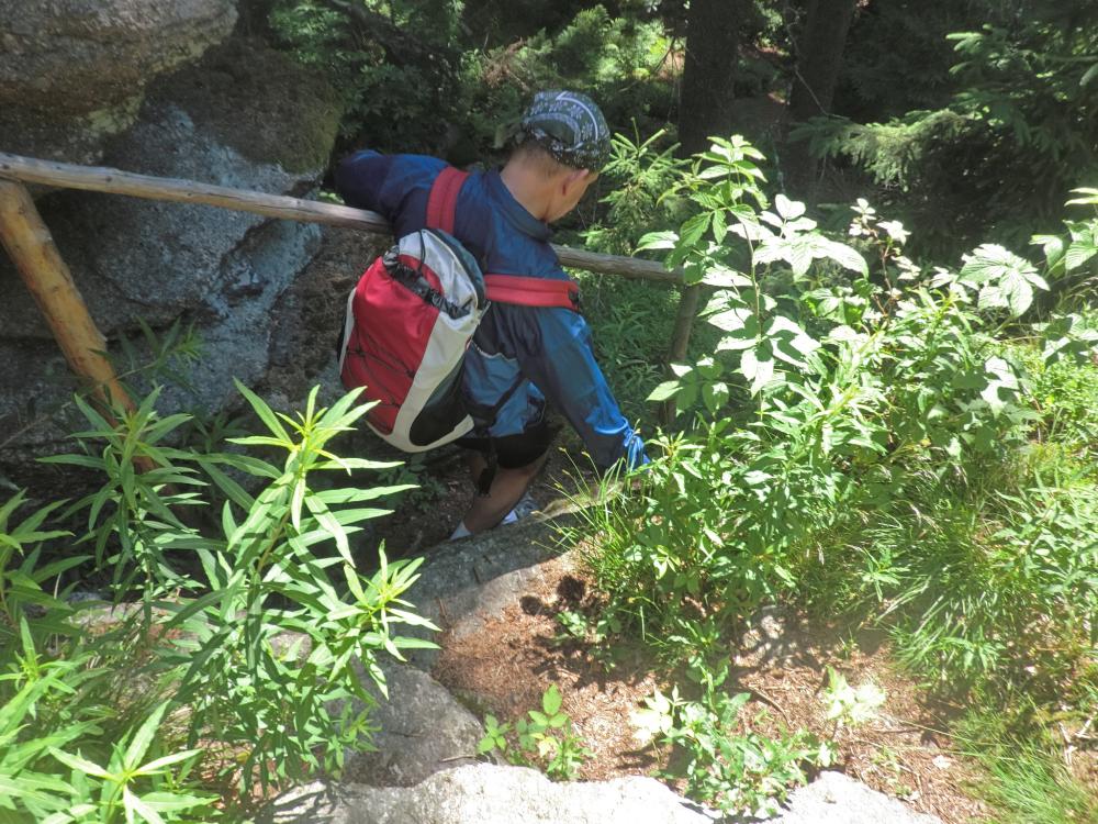 Nebelstein, Vysoka, Mandlstein (212 Bildaufrufe)