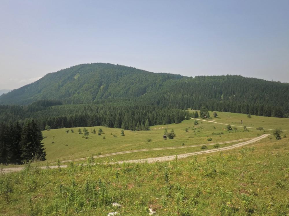 Hennesteck (349 Bildaufrufe)