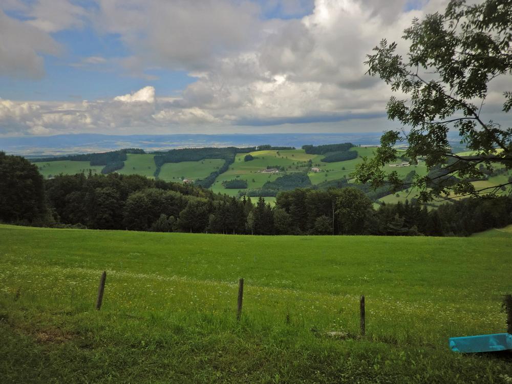 Kaiserkogel (197 Bildaufrufe)