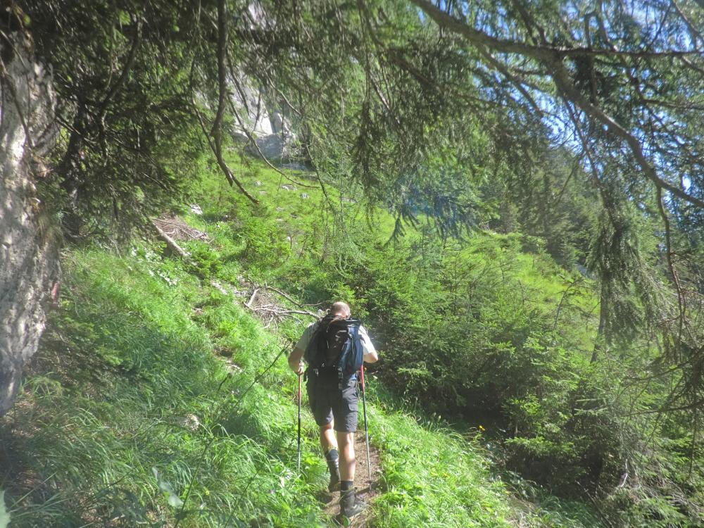Lugauer (424 Bildaufrufe)