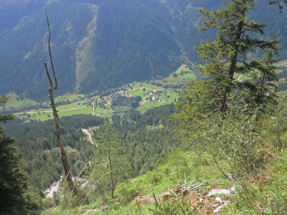 Lugauer (400 Bildaufrufe)