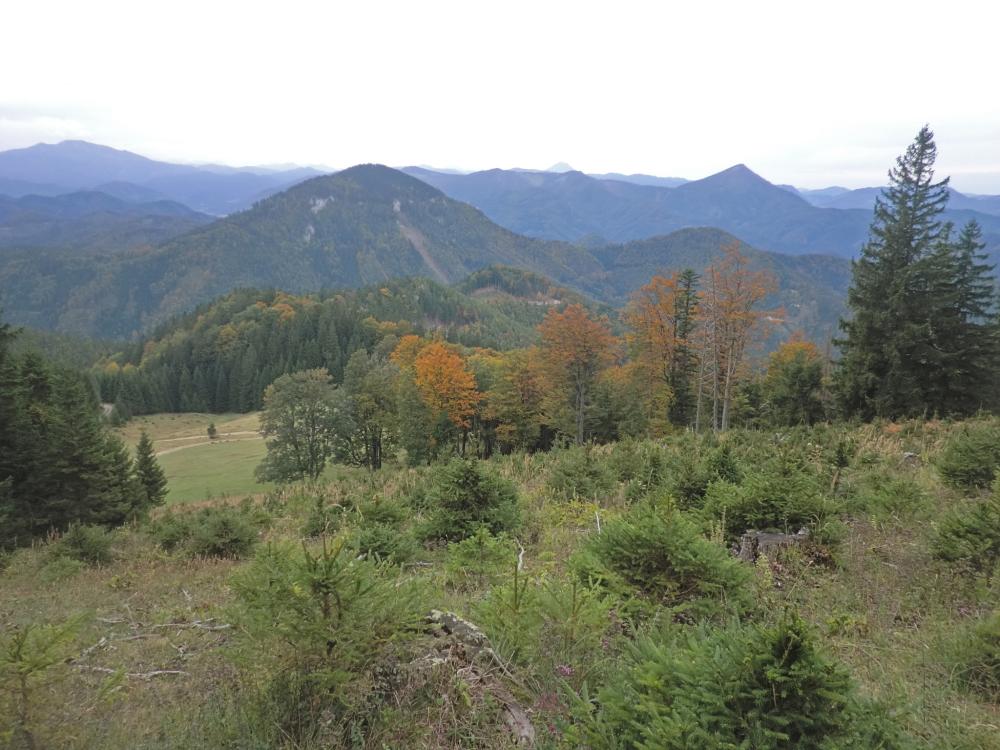Jochart (304 Bildaufrufe)
