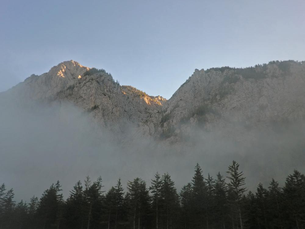 Riegerin (356 Bildaufrufe)