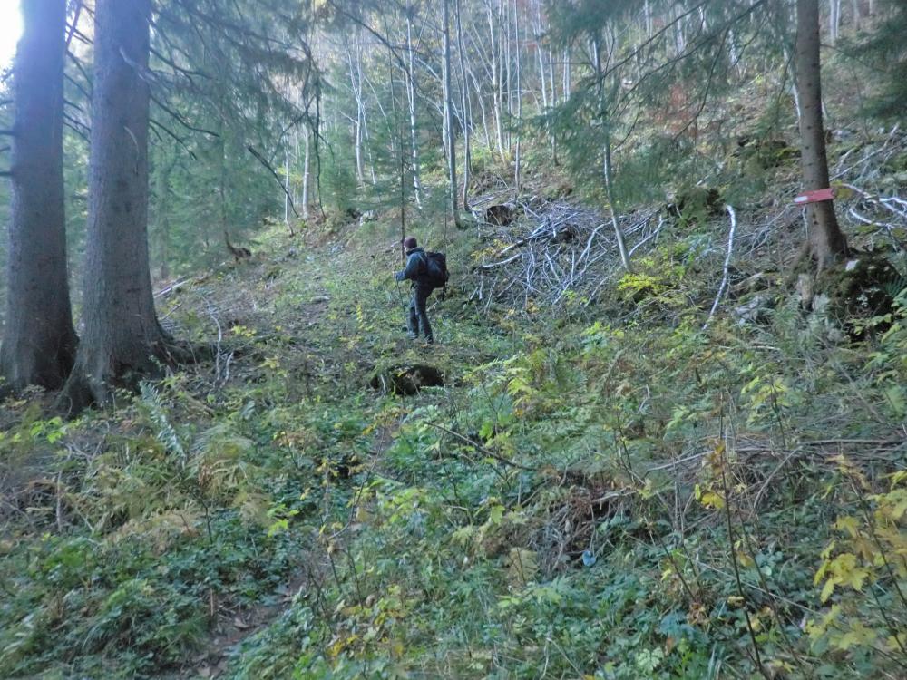 Hohe Student (286 Bildaufrufe)