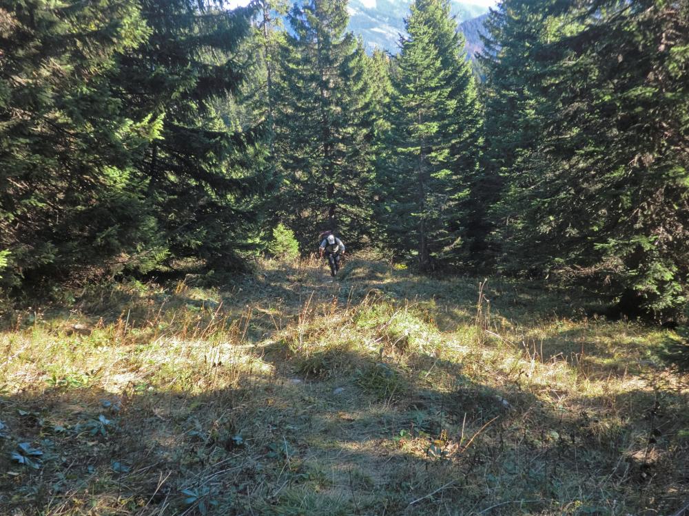 Hohe Student (299 Bildaufrufe)