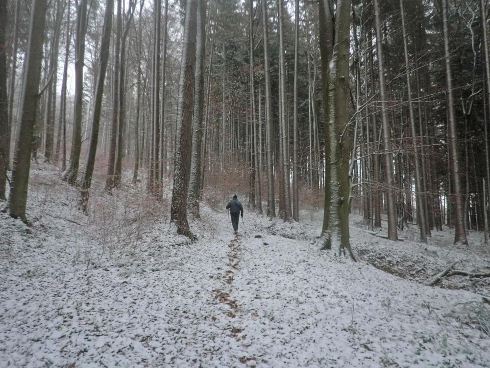Rudolfshöhe (267 Bildaufrufe)