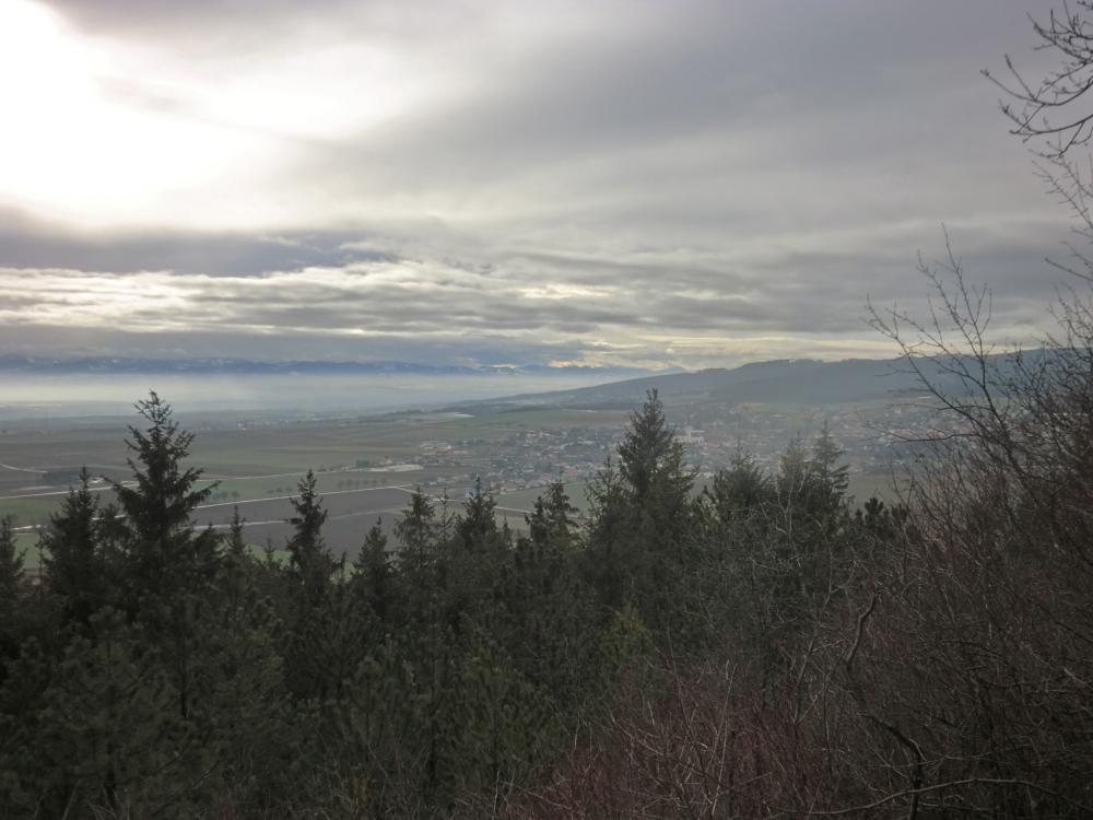 Wachtberg (301 Bildaufrufe)