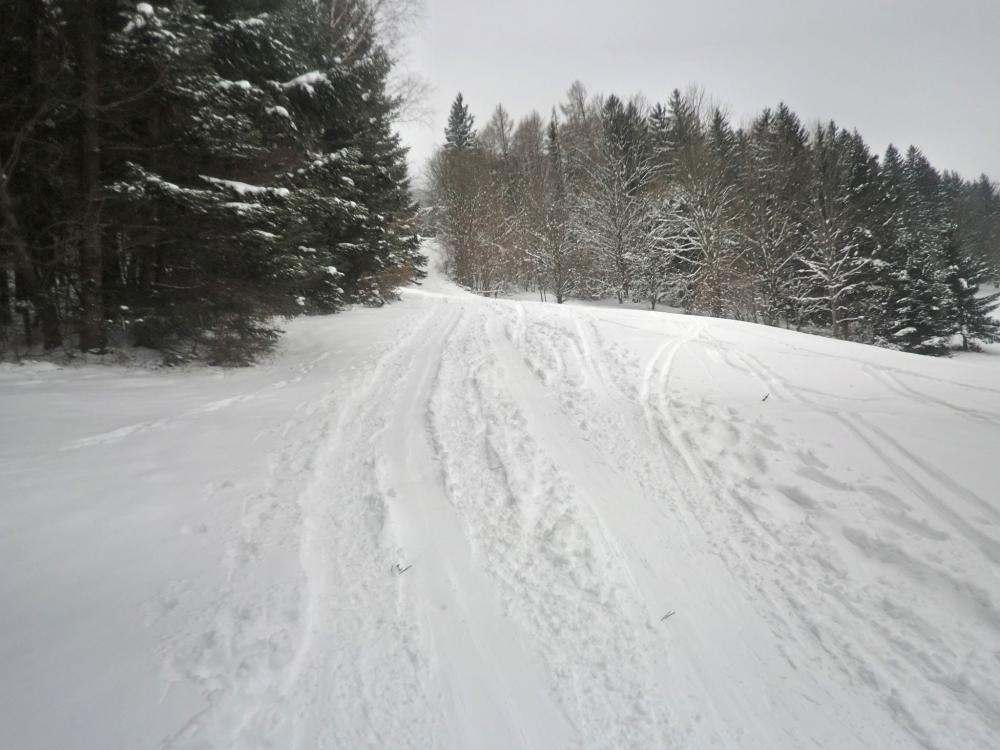 Eibl (283 Bildaufrufe)