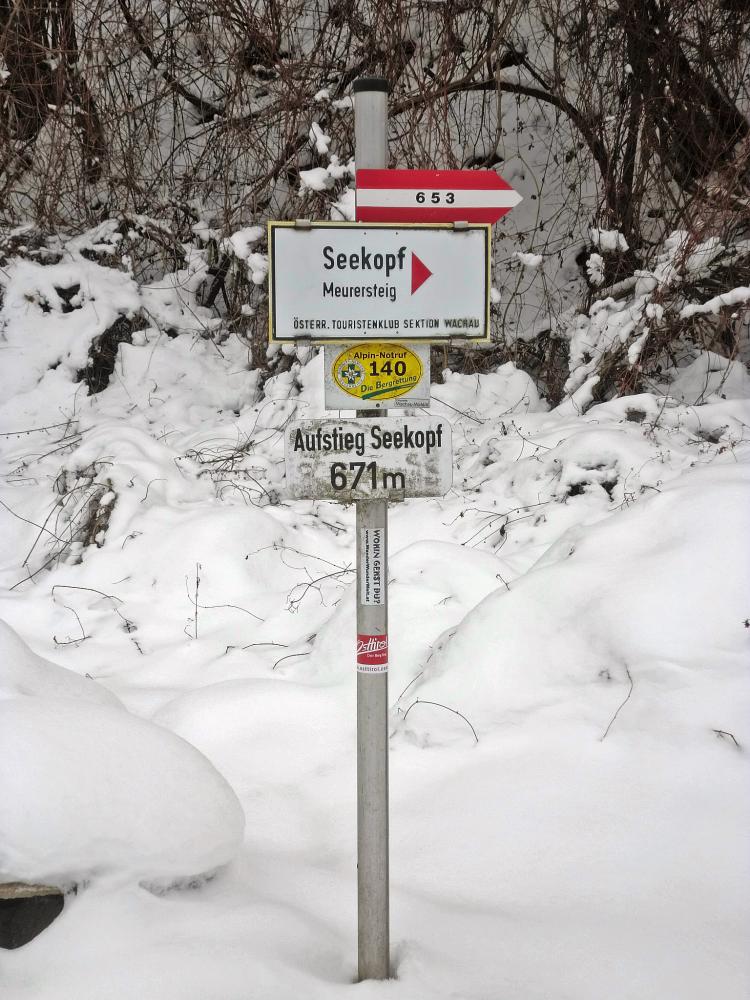 Seekopf (251 Bildaufrufe)