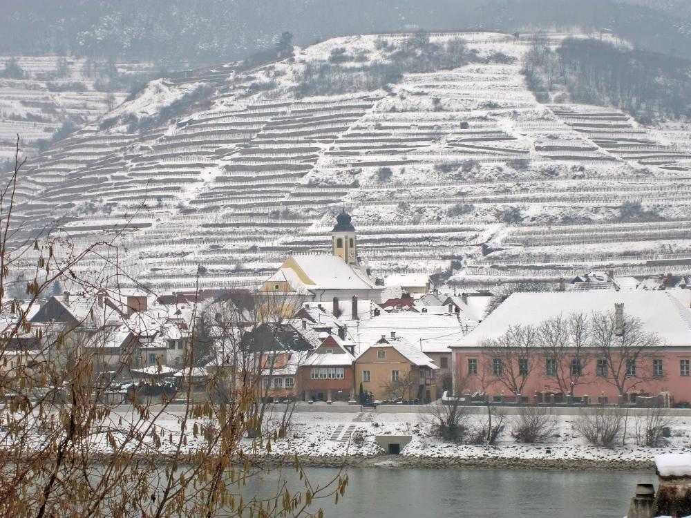 Seekopf (228 Bildaufrufe)