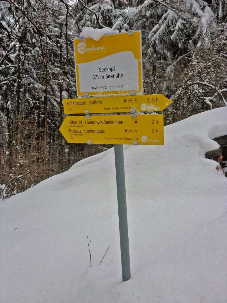 Seekopf (253 Bildaufrufe)