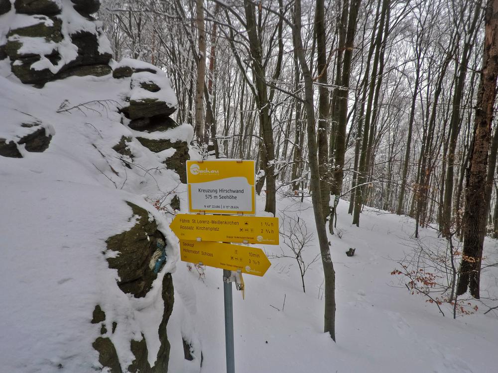 Seekopf (243 Bildaufrufe)
