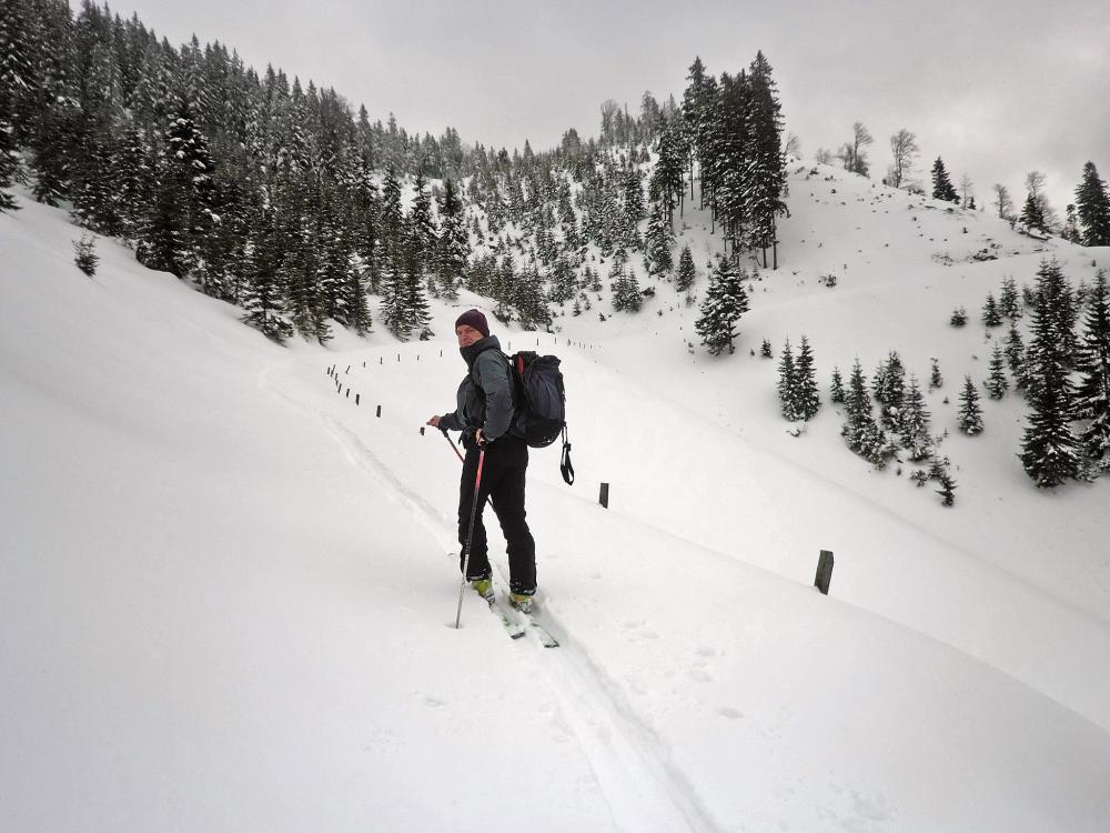 Bichleralpe (276 Bildaufrufe)