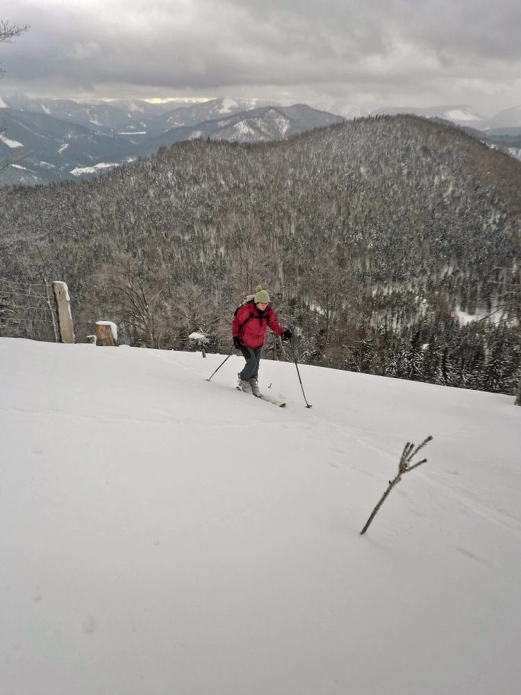 Bichleralpe (268 Bildaufrufe)