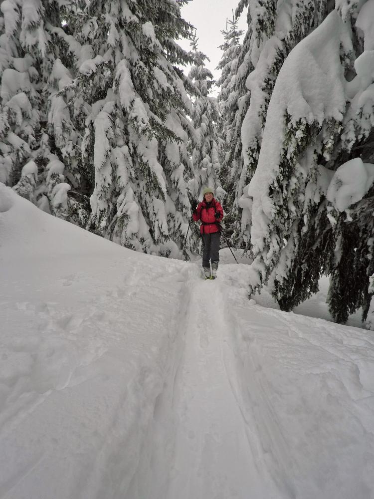 Bichleralpe (280 Bildaufrufe)