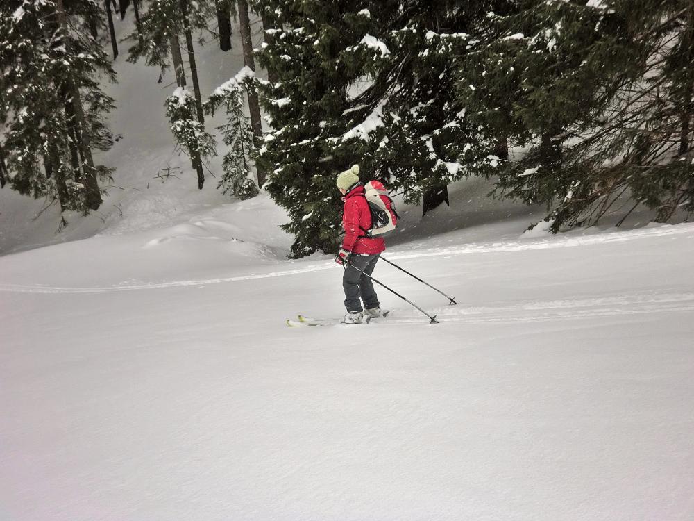 Bichleralpe (263 Bildaufrufe)