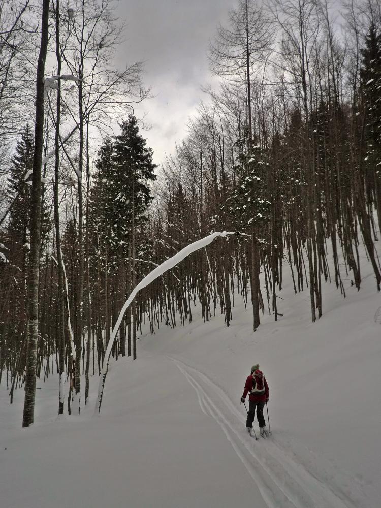 Bichleralpe (246 Bildaufrufe)