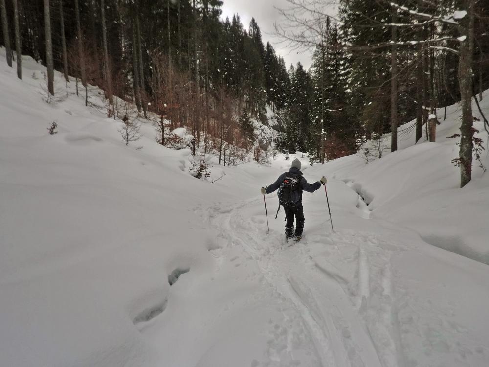 Bichleralpe (280 Bildaufrufe)