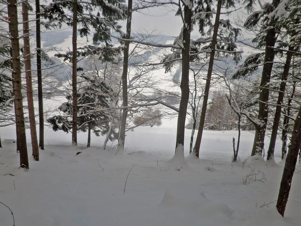 Kaiserkogel (256 Bildaufrufe)