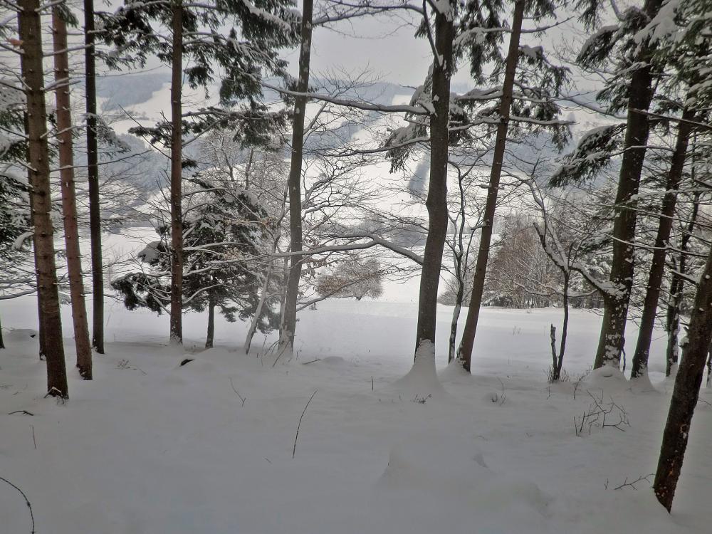 Kaiserkogel (241 Bildaufrufe)