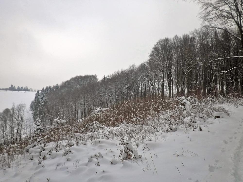 Kaiserkogel (250 Bildaufrufe)