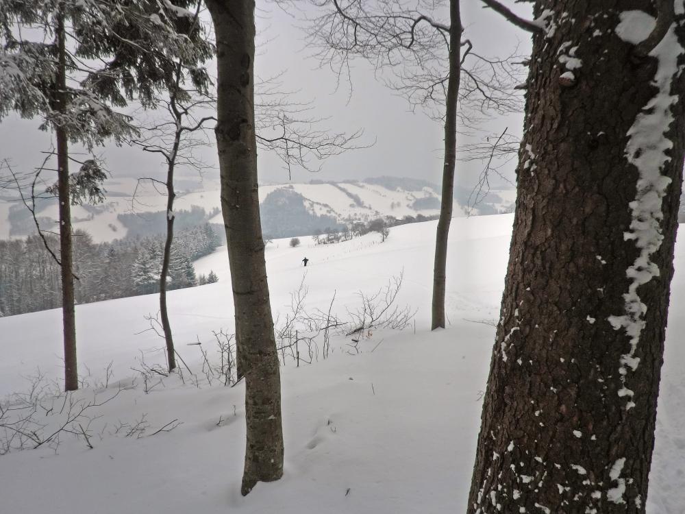 Kaiserkogel (278 Bildaufrufe)