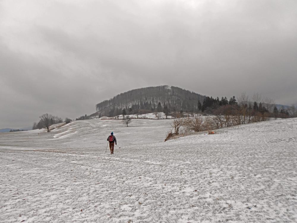 Eibenberg (233 Bildaufrufe)