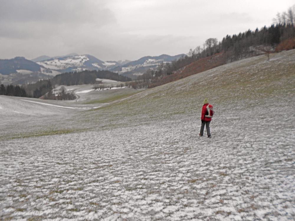 Eibenberg (344 Bildaufrufe)