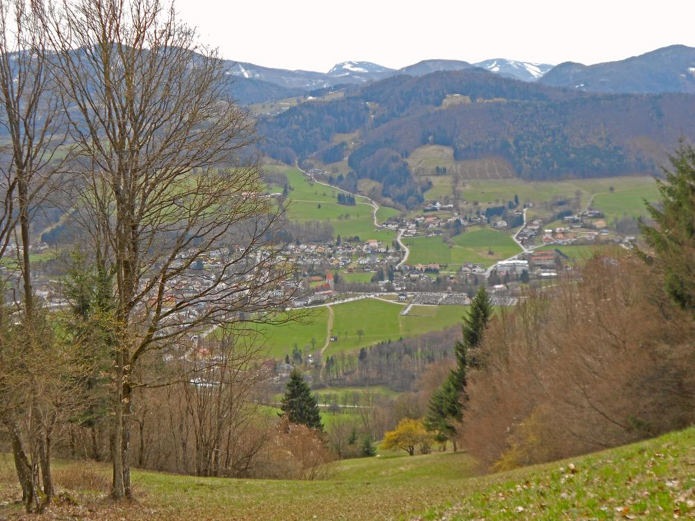 Brandleitenkogel (232 Bildaufrufe)