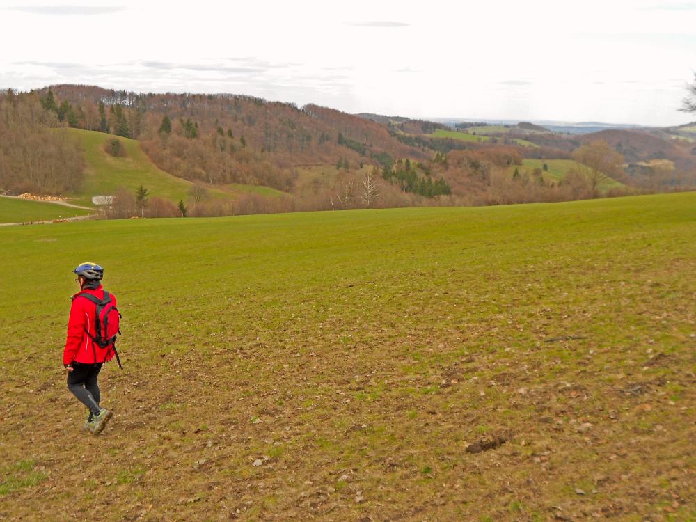 Brandleitenkogel (183 Bildaufrufe)