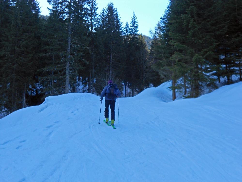 Leobner (270 Bildaufrufe)