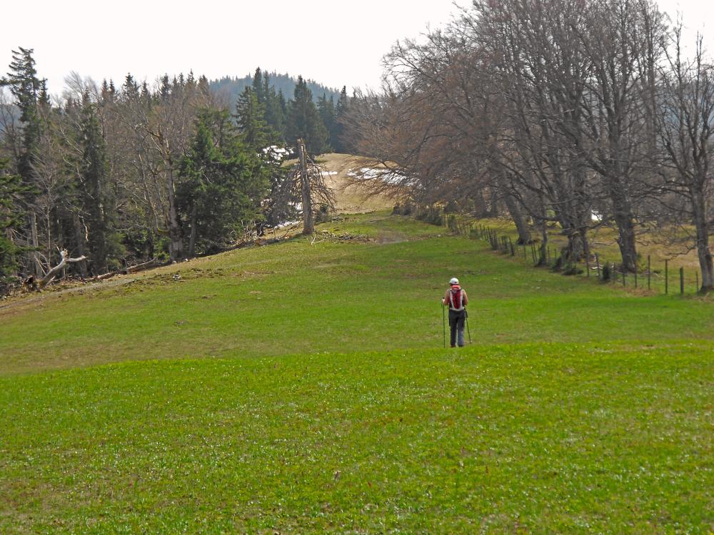 Ht.Hühnerkogel (246 Bildaufrufe)