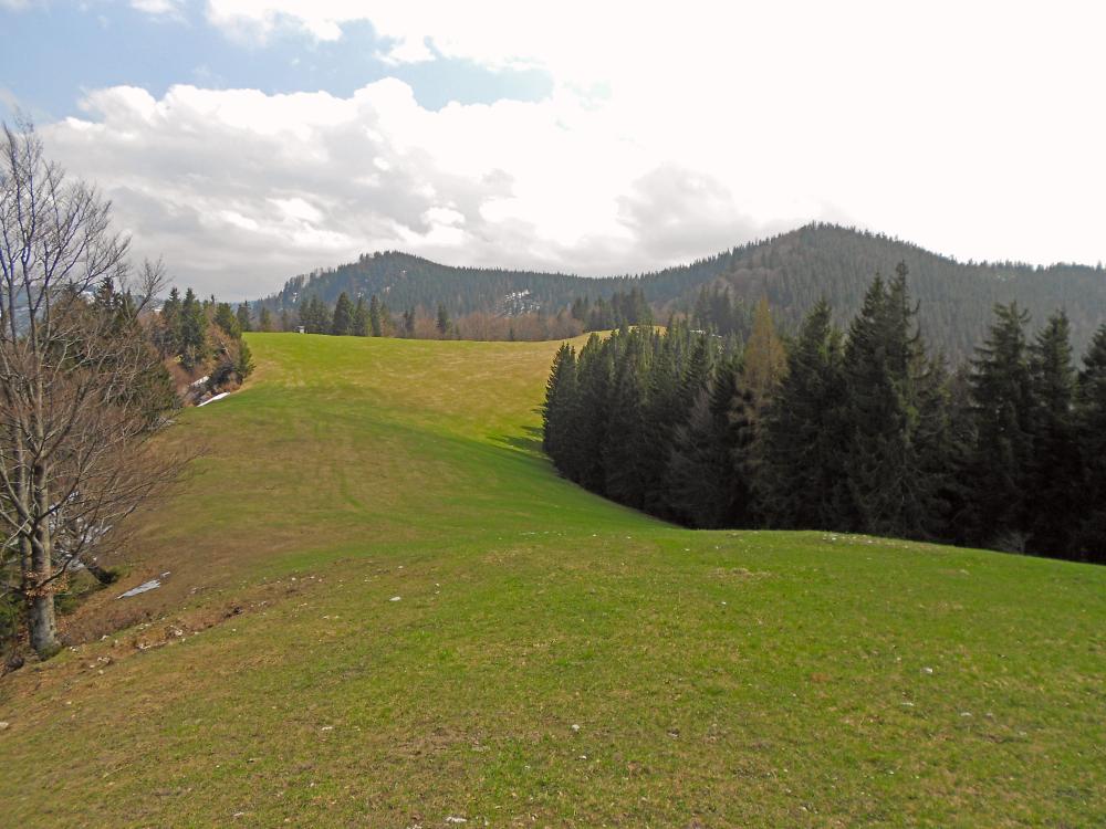 Ht.Hühnerkogel (323 Bildaufrufe)