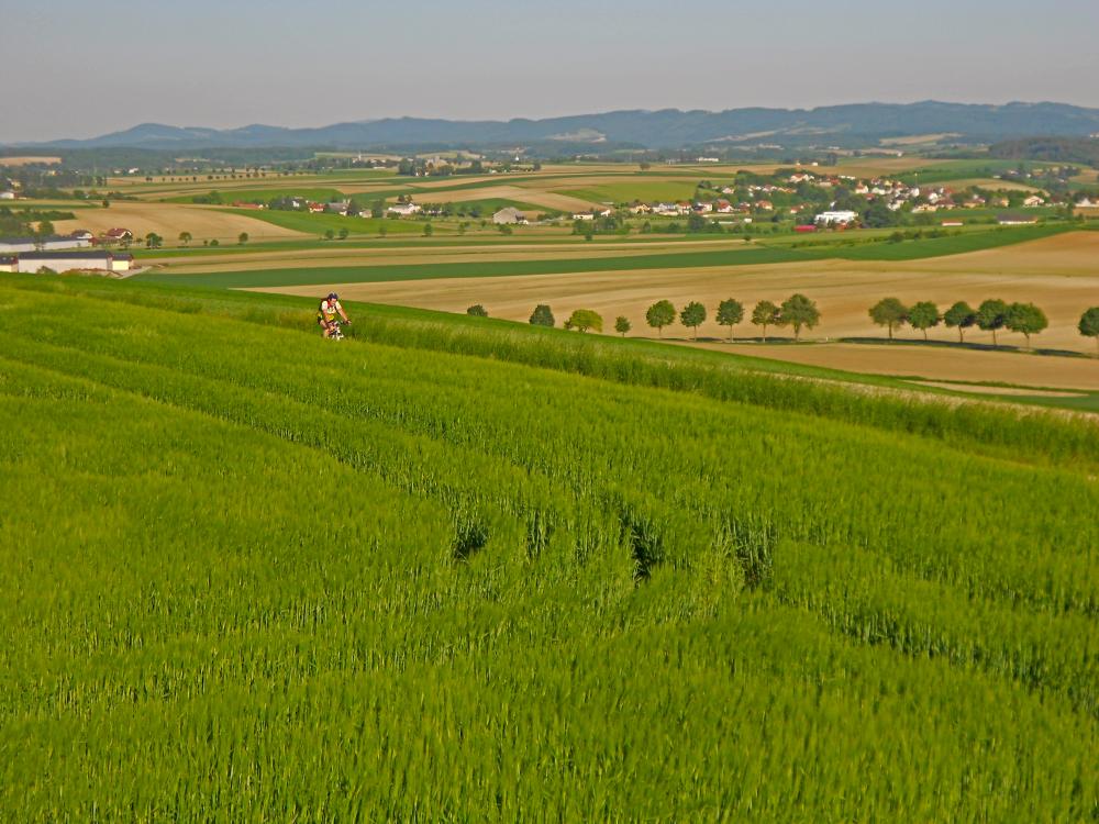 Kühberg (264 Bildaufrufe)