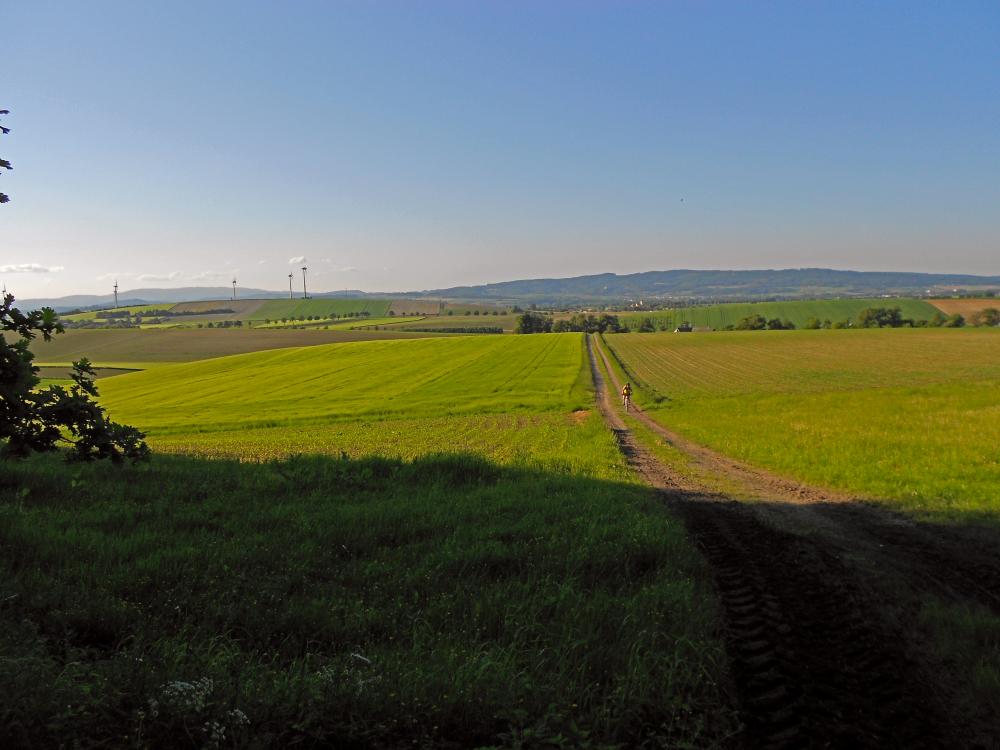 Kühberg (239 Bildaufrufe)