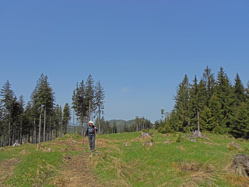 Futterkogel (271 Bildaufrufe)