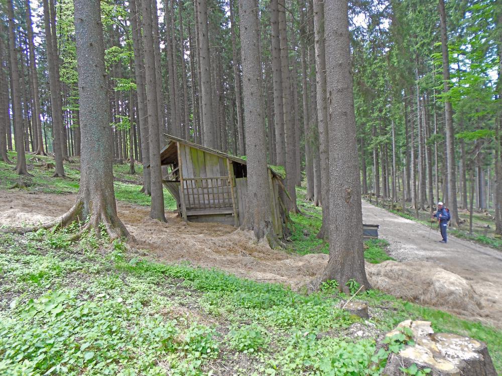 Futterkogel (179 Bildaufrufe)