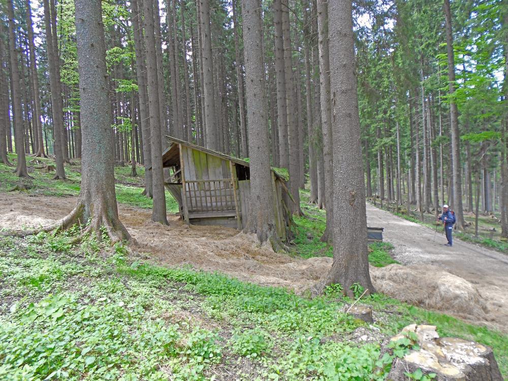 Futterkogel (173 Bildaufrufe)