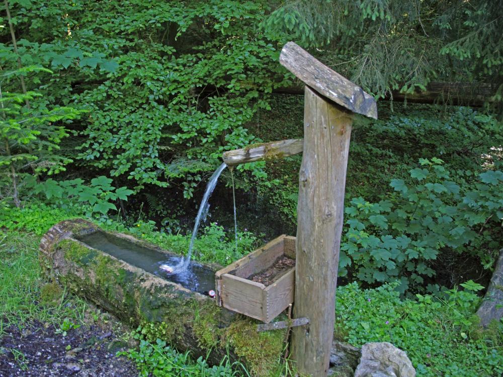 Sonnberg (269 Bildaufrufe)