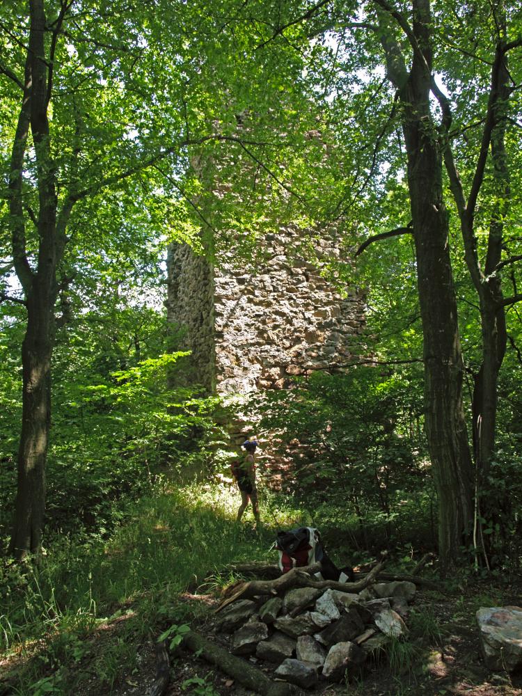 Weidaberg (248 Bildaufrufe)