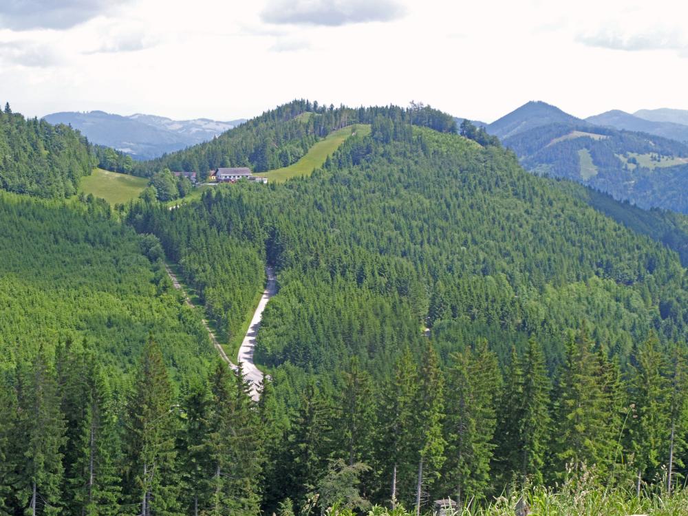 Muckenhöhe, Florkogel, Mäuerlberg, Stetenriegl (365 Bildaufrufe)