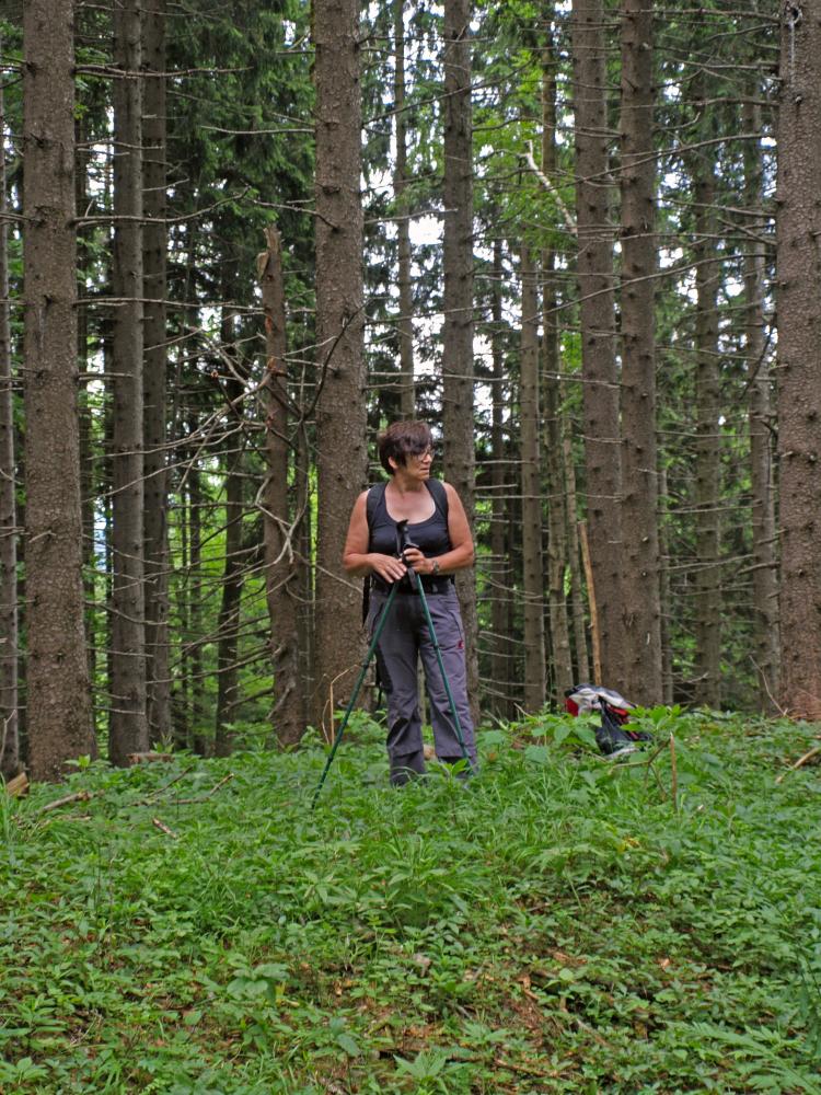 Muckenhöhe, Florkogel, Mäuerlberg, Stetenriegl (371 Bildaufrufe)