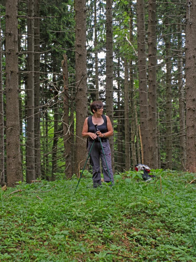 Muckenhöhe, Florkogel, Mäuerlberg, Stetenriegl (327 Bildaufrufe)