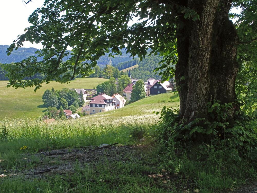 Muckenhöhe, Florkogel, Mäuerlberg, Stetenriegl (341 Bildaufrufe)