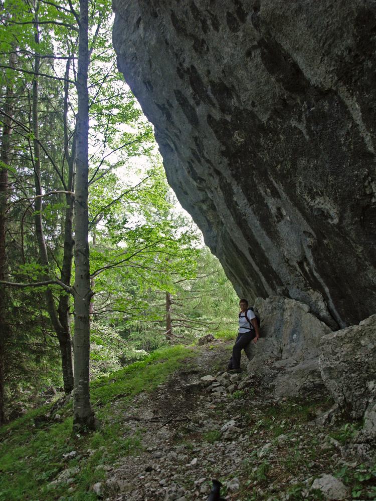 Hoher Grund (202 Bildaufrufe)