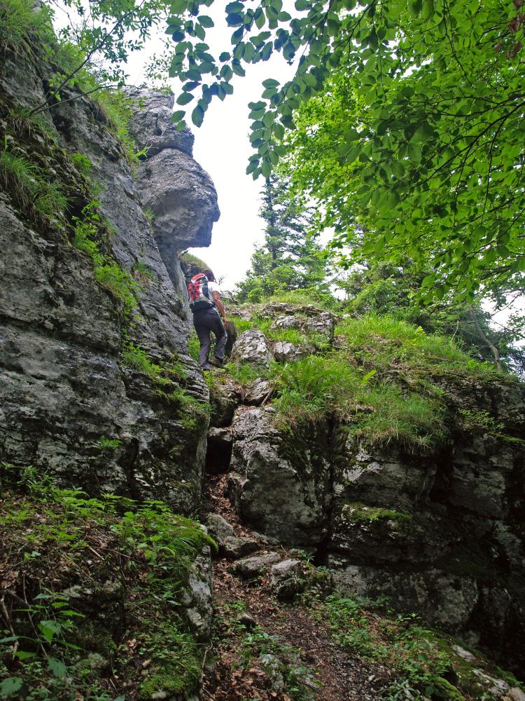 Hoher Grund (193 Bildaufrufe)