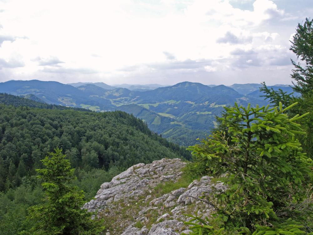 Hoher Grund (206 Bildaufrufe)