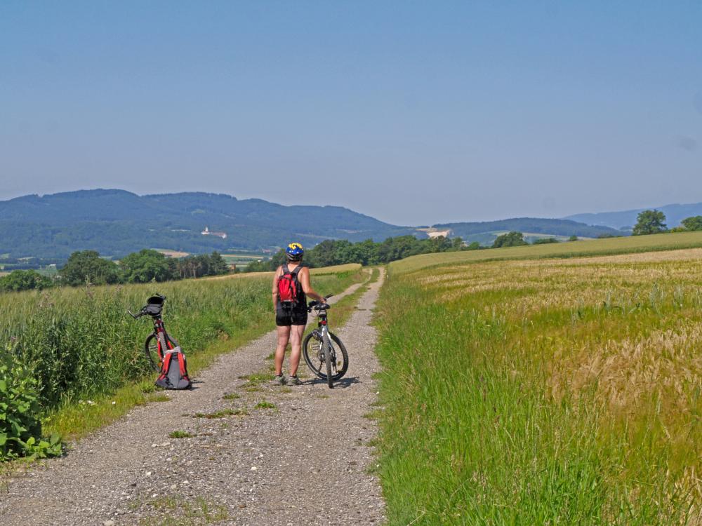 Sierninger Berg, Wachberg (205 Bildaufrufe)